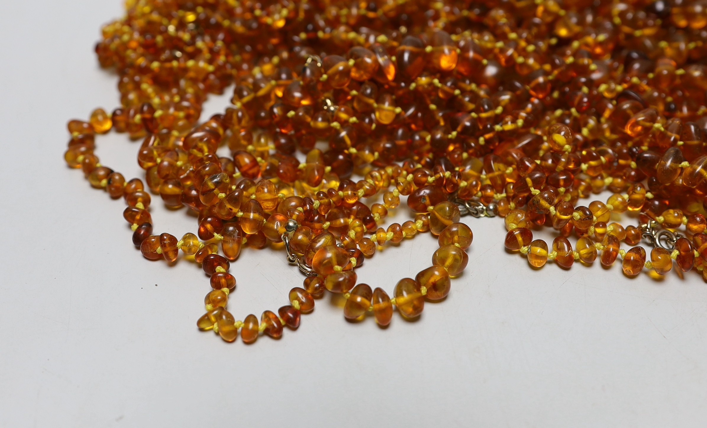 A collection of amber necklaces.